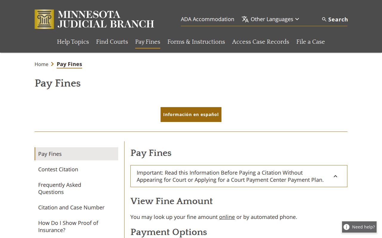 Rice traffic court record source image for Pay-a-Fine citation information